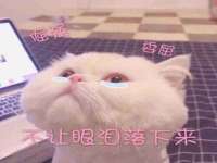 山东福泰德金属材料有限公司