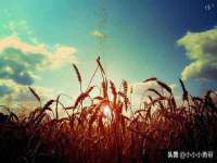 山东福泰德金属材料有限公司