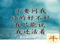 山东福泰德金属材料有限公司