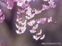 山东福泰德金属材料有限公司