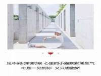 山东福泰德金属材料有限公司