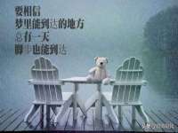 山东福泰德金属材料有限公司