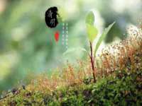 山东福泰德金属材料有限公司