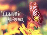 山东福泰德金属材料有限公司