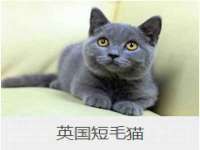 山东福泰德金属材料有限公司