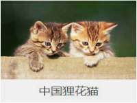 山东福泰德金属材料有限公司