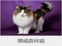 山东福泰德金属材料有限公司