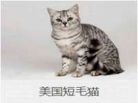 山东福泰德金属材料有限公司