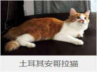 山东福泰德金属材料有限公司