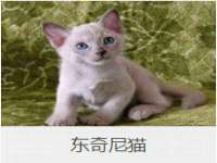 山东福泰德金属材料有限公司
