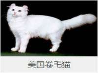 山东福泰德金属材料有限公司