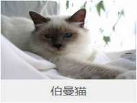 山东福泰德金属材料有限公司