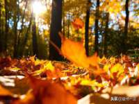 山东福泰德金属材料有限公司