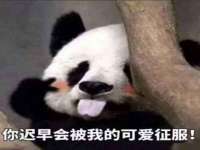 山东福泰德金属材料有限公司