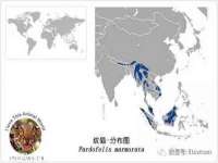 山东福泰德金属材料有限公司