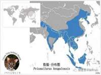 山东福泰德金属材料有限公司