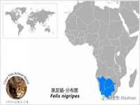 山东福泰德金属材料有限公司