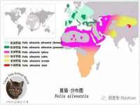 山东福泰德金属材料有限公司