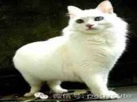 山东福泰德金属材料有限公司