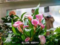 山东福泰德金属材料有限公司