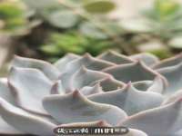 山东福泰德金属材料有限公司