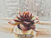 山东福泰德金属材料有限公司