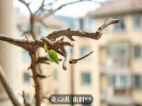 山东福泰德金属材料有限公司