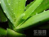 山东福泰德金属材料有限公司