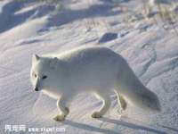 山东福泰德金属材料有限公司