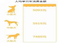 山东福泰德金属材料有限公司