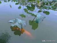 山东福泰德金属材料有限公司