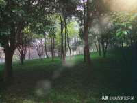 山东福泰德金属材料有限公司