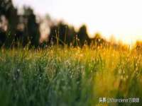 山东福泰德金属材料有限公司