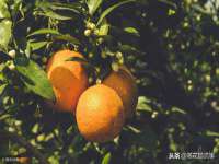 山东福泰德金属材料有限公司
