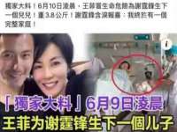 山东福泰德金属材料有限公司