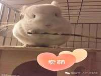 山东福泰德金属材料有限公司