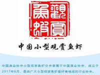 山东福泰德金属材料有限公司