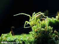 山东福泰德金属材料有限公司