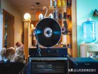 山东福泰德金属材料有限公司