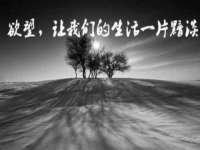 山东福泰德金属材料有限公司