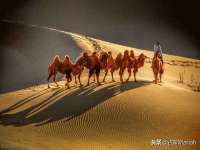 山东福泰德金属材料有限公司