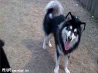 山东福泰德金属材料有限公司
