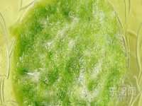 山东福泰德金属材料有限公司