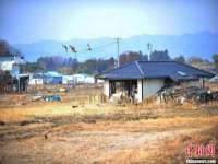 山东福泰德金属材料有限公司
