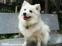 山东福泰德金属材料有限公司