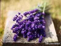 山东福泰德金属材料有限公司