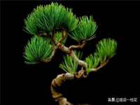 山东福泰德金属材料有限公司