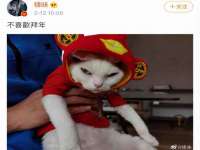 山东福泰德金属材料有限公司