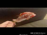 山东福泰德金属材料有限公司